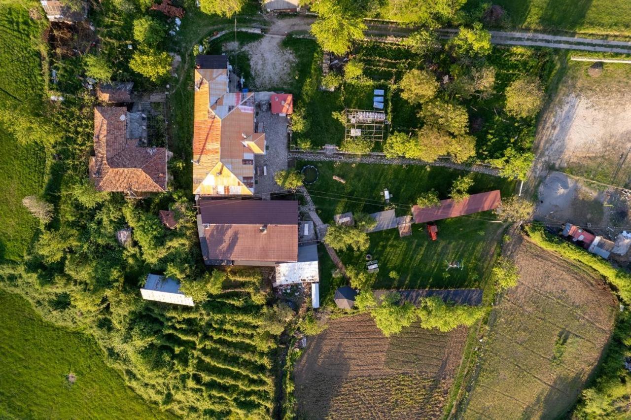 Vila Disha Tirana Exterior foto
